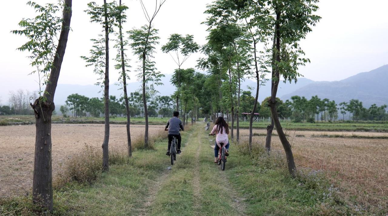 Sukoon - A Wellness Resort, Uttarakhand Chuharpur Екстер'єр фото