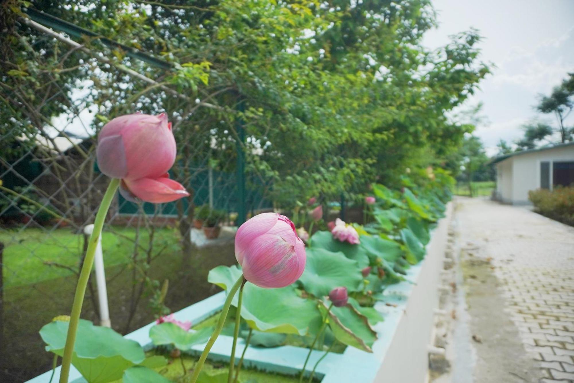 Sukoon - A Wellness Resort, Uttarakhand Chuharpur Екстер'єр фото